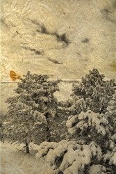 Similar image 17248092