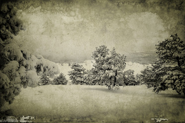 Similar image 17248109