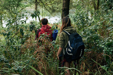 Similar image 17323235