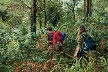 Similar image 17323276