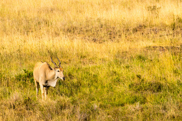 Similar image 17544155