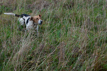 Similar image 17244297