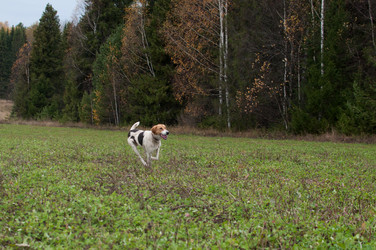 Similar image 17244303