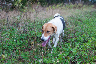 Similar image 17244300