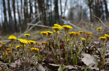 Similar image 17542988