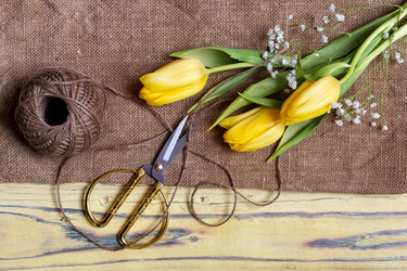 Similar image 17248019