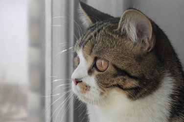 Similar image 17248771