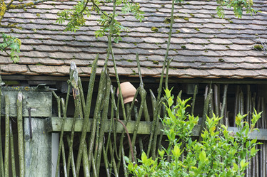 Similar image 17245672