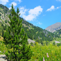 Similar image 17245778