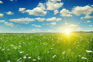 Similar image 17245815