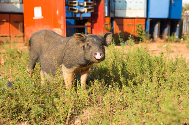 Similar image 17245655