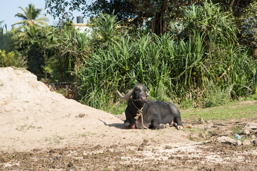 Similar image 17245727