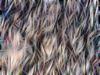 Similar image 17245868