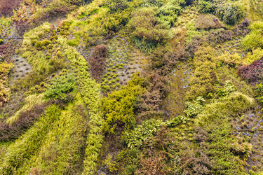 Similar image 17245790