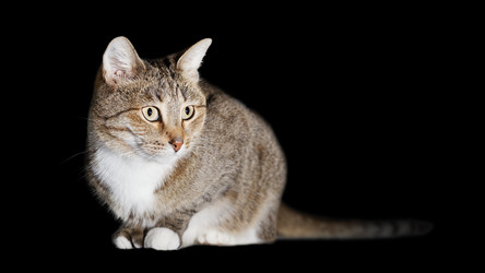 Similar image 17248112