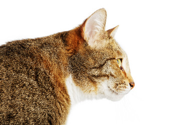 Similar image 17248114