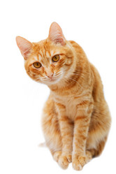 Similar image 17246151