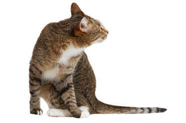 Similar image 17246153