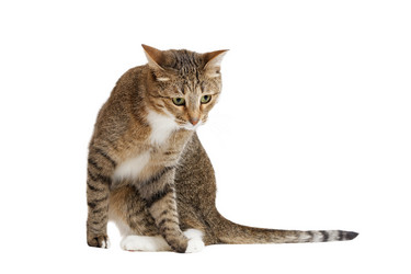 Similar image 17246157