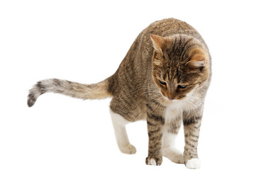 Similar image 17246158