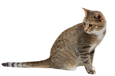 Similar image 17246159