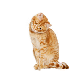 Similar image 17246161