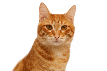 Similar image 17246162