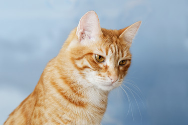 Similar image 17246163