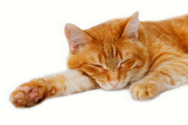 Similar image 17246187