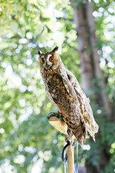 Similar image 17248142