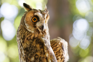 Similar image 17248143