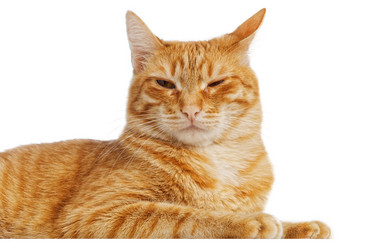 Similar image 17246190