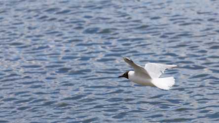 Similar image 17248144