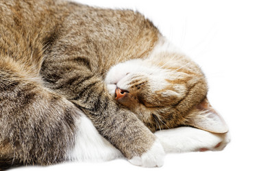 Similar image 17246192