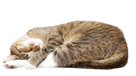 Similar image 17246207