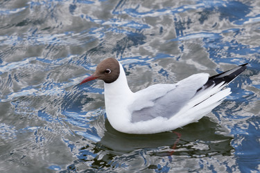 Similar image 17248123