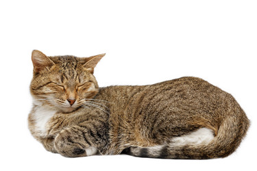 Similar image 17246090