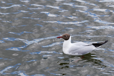 Similar image 17248124