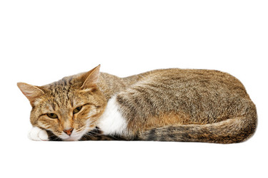 Similar image 17246092