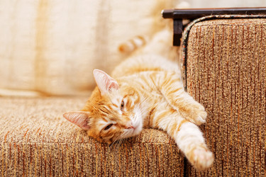 Similar image 17246094