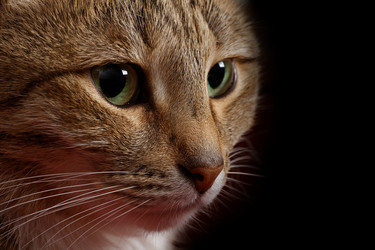 Similar image 17246095