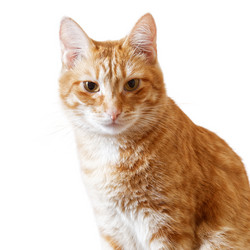 Similar image 17246097