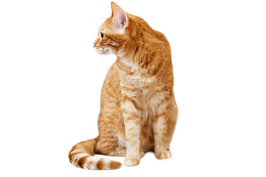 Similar image 17246098