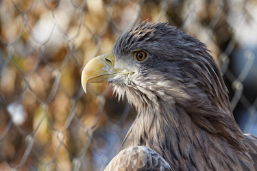 Similar image 17246116