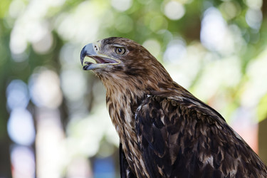 Similar image 17246125