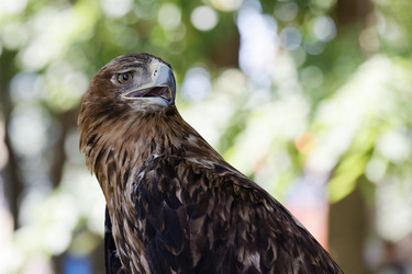 Similar image 17246128