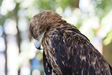 Similar image 17246105