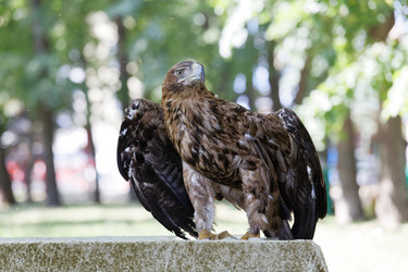 Similar image 17246109