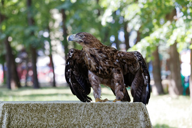 Similar image 17246110