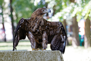 Similar image 17246111